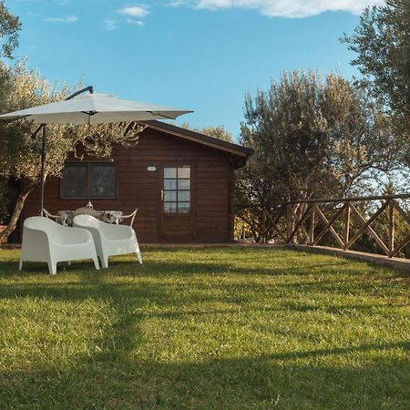 Un Angolo di Paradiso Gaeta Bagian luar foto
